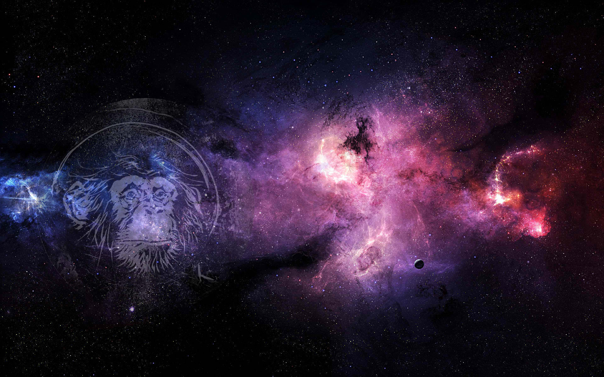 header image